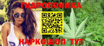 винт Бердск