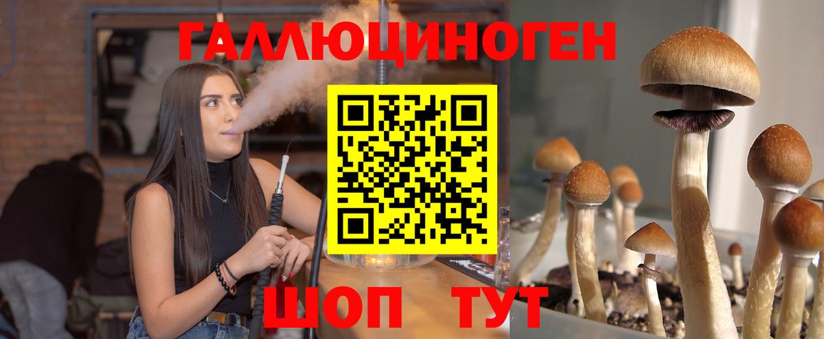 Вышний Волочёк  Галлюциногенные грибы MAGIC MUSHROOMS  Галлюциногенные грибы прущие грибы  Вход с VPN 